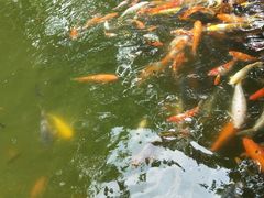-珠海圆明新园