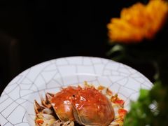 -北京柏悦酒店·锦庭餐厅Dining Room