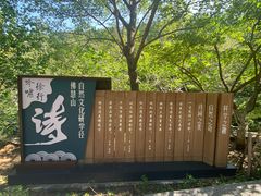 -佛慧山