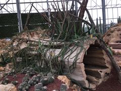 -南通洲际绿博园