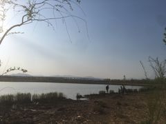 -绿堤公园