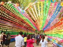 -天目湖山水园