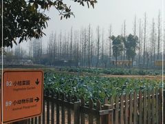 -前小桔亲子创意农场·草莓采摘·露营烧烤