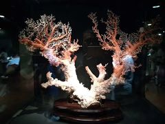 -台北故宫博物院