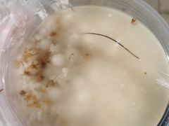 -潘玉麟糖粥