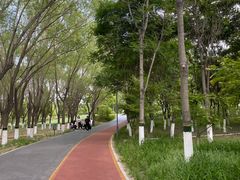 -大兴滨河森林公园