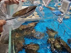 -盒马鲜生(曜一城店)