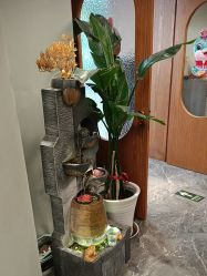 -卡尔诗·科技美肤连锁