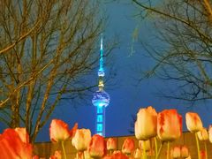 -外滩8号 whisky bar(金延大厦店)