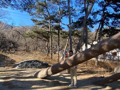 -阳台山自然风景区