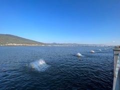 -滇池海埂公园