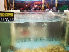 -皮记海鲜1995(寮步店)