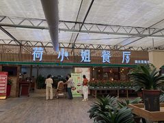 -荷兰花海