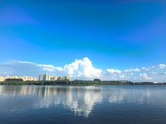 -丁香湖公园