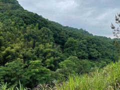 -长沙黑麋峰国家森林公园