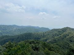 -十八棵（老龙井）御茶园(老龙井店)