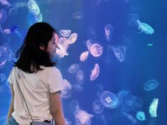 -烟台海昌鲸鲨海洋公园