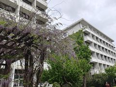 -北大家园食堂