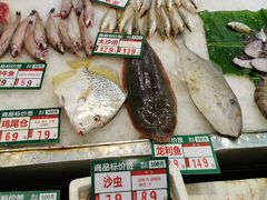 -御唐府海珊瑚主题餐厅