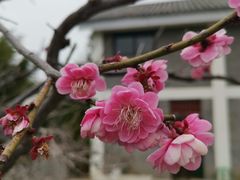 -郑州植物园