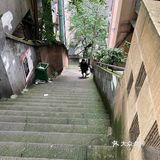 新华日报