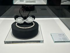 -BLACKSWAN黑天鹅(新希望店)