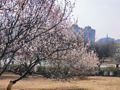 -太阳宫公园