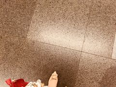 -大望路(地铁站)
