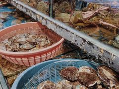 海鲜池-鑫鸿达·海鲜闽菜热炒小馆(中山路店)