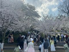 -杭州少年儿童公园