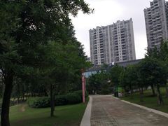 -飞来湖湿地公园