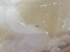 -原醪糟民俗小吃(金沙港湾店)