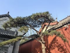 -西安市广仁寺