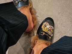 -星巴克(保定万博广场店)