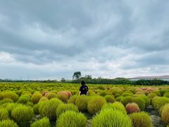 -映月湖中央公园
