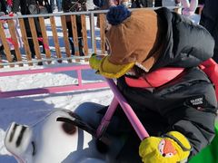 -绿野森林乐园冰雪季