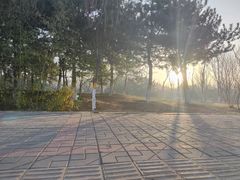 -东升文体公园