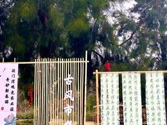 -漩门湾国家湿地公园