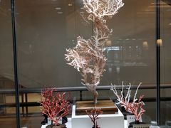 -高雄85大楼-观景台