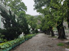 -龙环葡韵住宅式博物馆