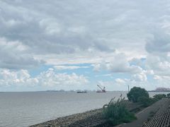 -上海滨江森林公园
