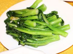 -鸿达渔港