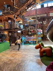 -卡通尼·Safari非洲探索乐园·生日会(金桥国际商业广场店)