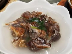 大海螺-双井轩(双井店)