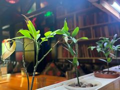 -望京一号·重庆江湖菜(工体店)
