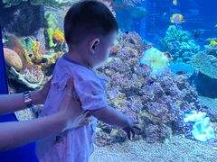 -欢乐海岸海洋奇梦馆