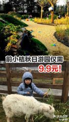 -前小桔亲子创意农场·草莓采摘·露营烧烤