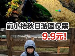 -前小桔亲子创意农场·草莓采摘·露营烧烤