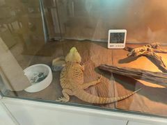 -喵园·猫主题咖啡厅·撸猫·猫咖(国贸店)