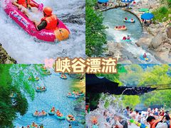 -莫干山风景区
